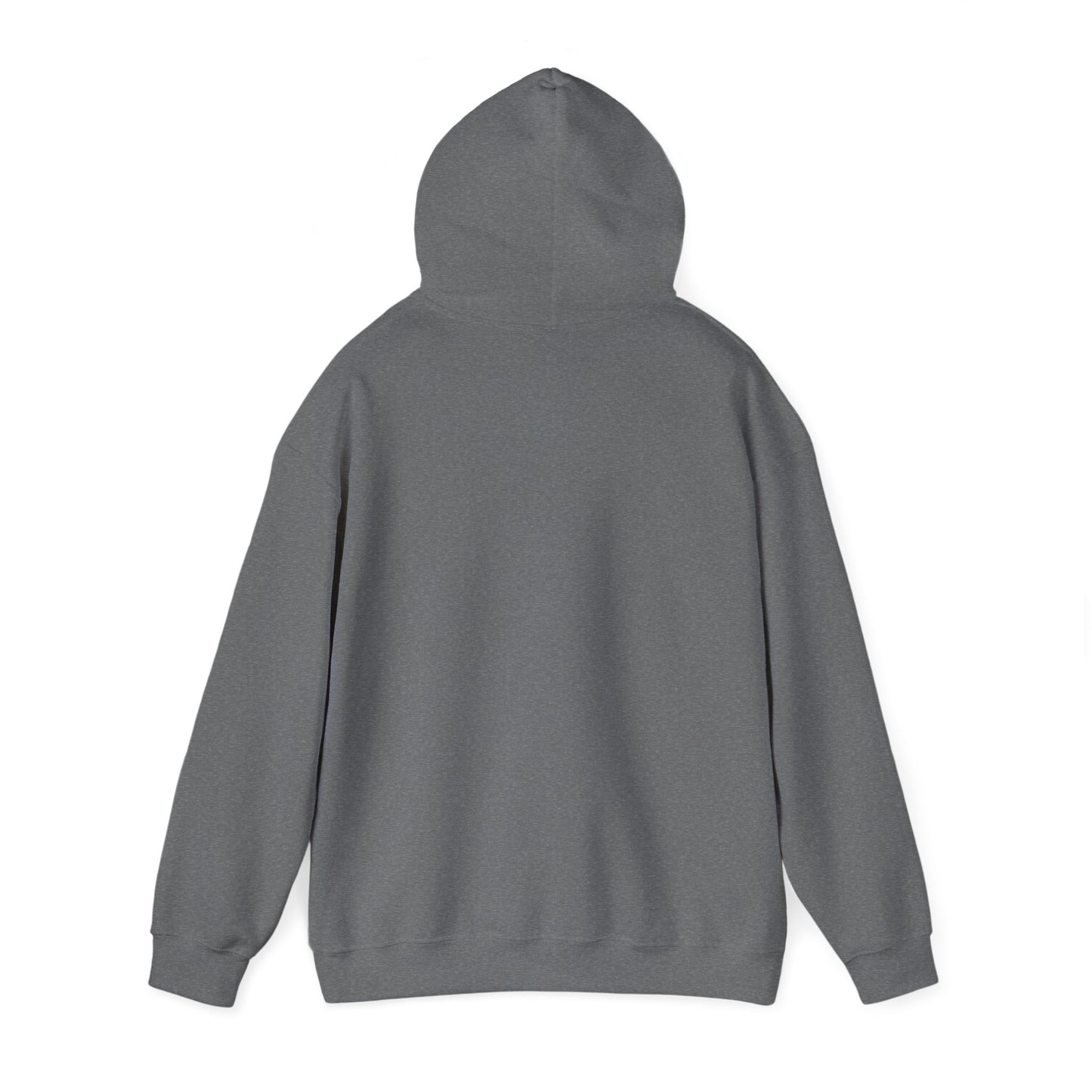 Gratitude in Action Veteran Mental Health Hoodie